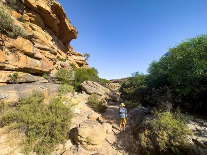 Hikers on the Sevilla Art Rock Trail, dry landscape with red and yellow rocks, Cederberg Mountains,