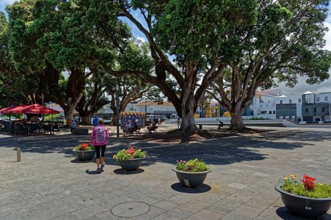A spacious square with large trees, colourful flowers in boxes and people visiting a nearby cafe,