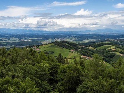 Hilly landscape, vineyards, view from the Demmerkogel lookout point, St. Andrae-Hoech, Sausal wine