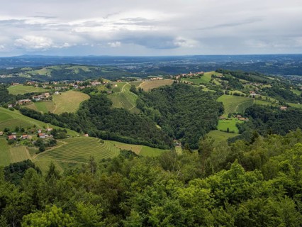 Hilly landscape, vineyards, view from the Demmerkogel lookout point, St. Andrae-Hoech, Sausal wine