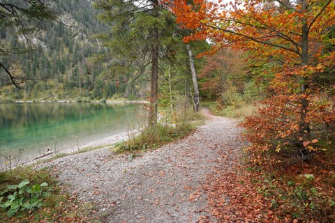 Landscape of a little trail going beside a clear lake (Plansee) in autumn in Tirol