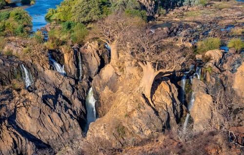 Kunene River, waterfall and African Baobab (Adansonia digitata), in the evening light, Epupa Falls,