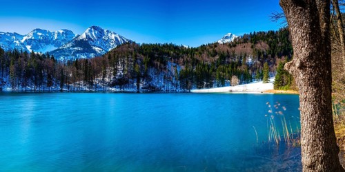 Alatsee, Ostallgaeu, Allgaeu, Swabia, Bavaria, Germany, Europe