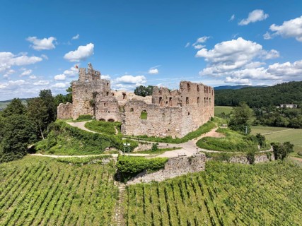 Aerial view of Staufen Castle, on a vineyard, Schlossberg, Staufen im Breisgau, Markgraeflerland,