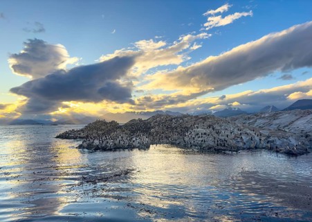 Rocky island with bird colony, imperial shag (Phalacrocorax atriceps) at sunset, dramatic clouds,