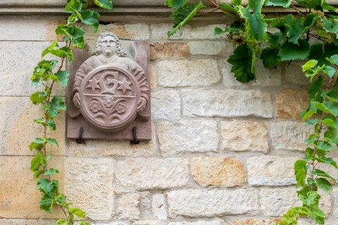 Relief sculpture on a stone wall with a grapevine, artistic and calm, Southern Palatinate,