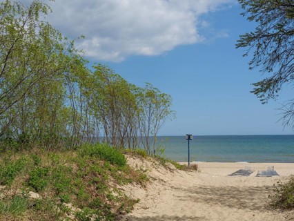 A sandy path through the dunes with trees leads to the sea under a cloudy sky, spring on the Baltic