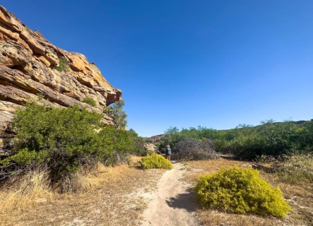 Hikers on the Sevilla Art Rock Trail, dry landscape with yellow rocks, Cederberg Mountains, near