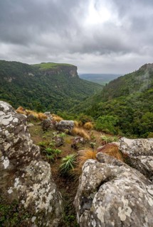 View of the Graskop Gorge with dense forest from the plateau, Panorama Chalets and Rest Camp,