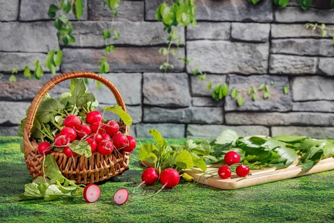 A basket of fresh radishes and a chopping board with herbs on a grassy area in front of a stone