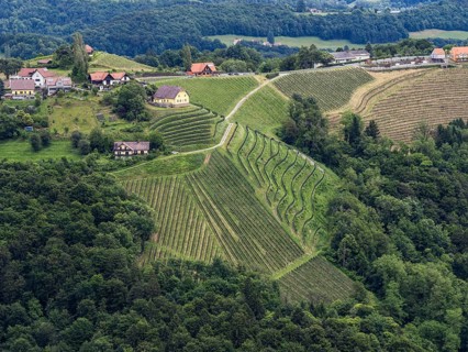 Hilly landscape, vineyards, view from the Demmerkogel lookout point, St. Andrae-Hoech, Sausal wine