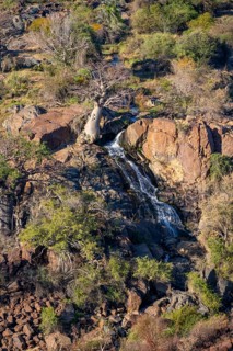 Kunene River, waterfall and African Baobab (Adansonia digitata), in the evening light, Epupa Falls,