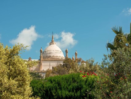 A light beige architectural-style dome rises among trees and flowers under a blue sky, Tunis in