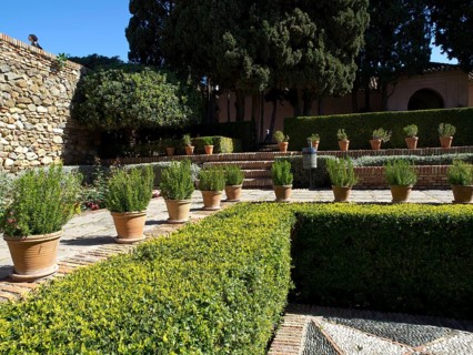 A well-kept garden area with flower pots and trimmed hedges, sunny atmosphere, the historic