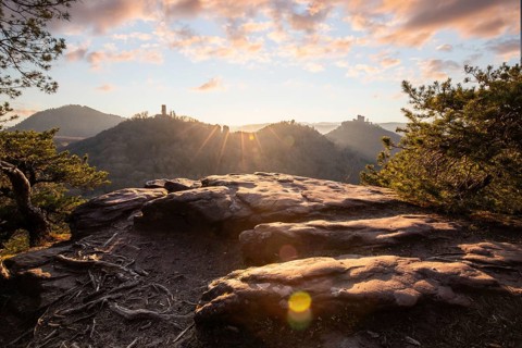View of Trifels Castle, from Engels Landing rock, with the young tower in autumn at sunset.