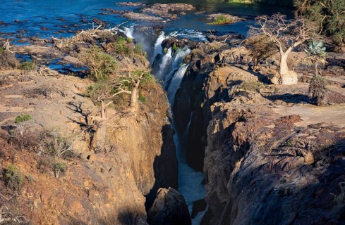 Kunene River, waterfall and African Baobab (Adansonia digitata), in the evening light, Epupa Falls,