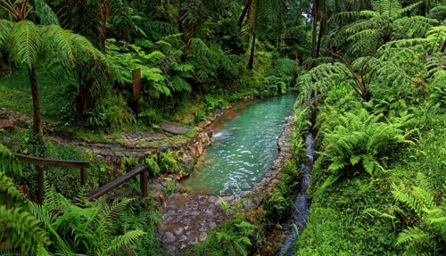 Hiking trail with hot natural thermal spring in Caldeira Velha in a lush green environment with