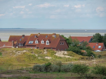 Houses in the dunes with green vegetation and the sea in the background under a partly cloudy sky,