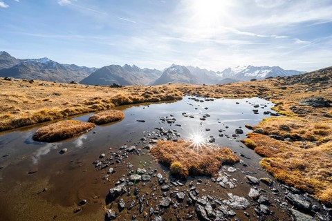 Small lake on the high plateau of the Gurgler Seenplatte, glaciated mountain peaks in the