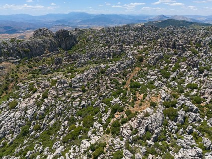 Rough rocky mountain terrain with scattered green plants under a cloudy blue sky, aerial view,