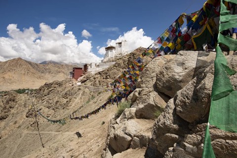 Namgyal Tsemo Gompa Monastery, Tsenmo Hills, Leh, Ladakh, Jammu and Kashmir, India, Asia