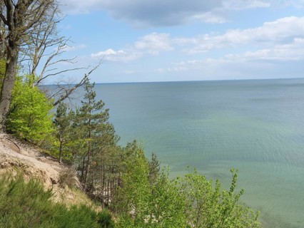 Quiet coastline with green forest, beach and blue sea under a partly cloudy sky, Green trees on a