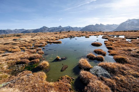 Small lake on the high plateau of the Gurgler Seenplatte, glaciated mountain peaks in the