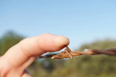 Close-up of a woman's finger stabbing herself with rusty barbed wire