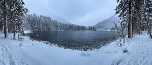 Snowfall at Spitzingsee, Bavaria, Germany, Europe