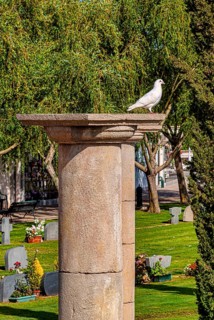 Large cemetery with tombs and religious symbols in Chiclana, Andalusia, Spain, Europe