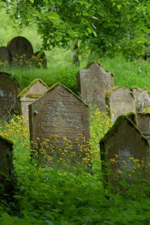 Jewish cemetery, Kochertal, Kocher, Schwaebisch Hall, Baden-Wuerttemberg, Germany, Europe
