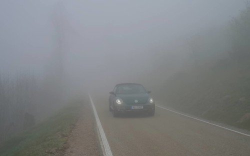 Fog, low visibility, road, forest on Blauen mountain, Badenweiler, Black Forest,