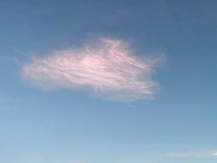 Pink cloud illuminated by the sun in the late afternoon in front of evening Feather cloud Veil