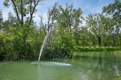 Fishing pond in the forest near Burkheim am Kaiserstuhl, Baden-Wuerttemberg, Germany, Europe