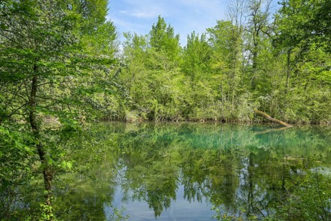 Rhine floodplain, oxbow lake, tributary of the Rhine in the Rappennestgiessen nature reserve,