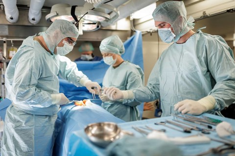 Doctors and paramedics from the Bundeswehr medical service simulate an operation on a wounded