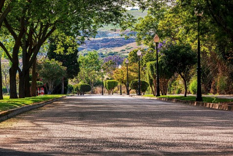 Park at a cemetery in Chiclana, Andalusia, Spain, Europe