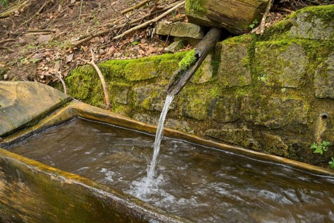 Wooden trough, well, fresh water, forest on Blauen mountain, Badenweiler, Black Forest,