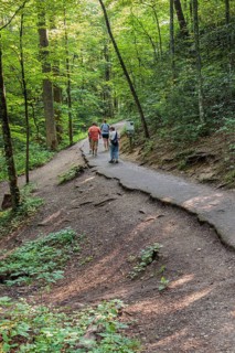 Family walking on paved portion of Laurel Falls Trail in Great Smoky Mountains National Park,