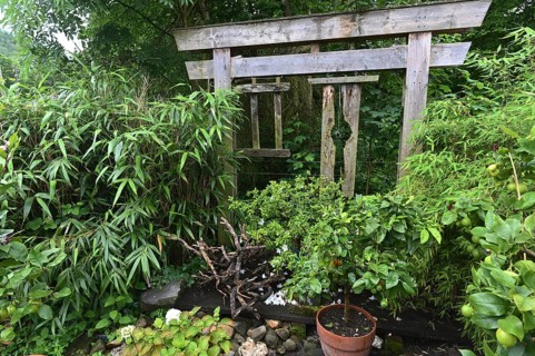 DEU. Germany, Iserlohn: This hobby gardener in Iserlohn maintains an extraordinary garden with