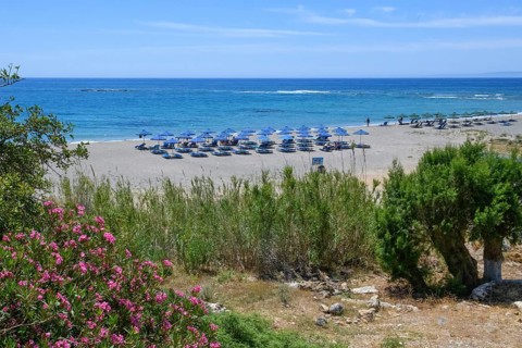 Beach of Frangokastello with sunshades and sunbeds, left in the foreground flowering shrub oleander
