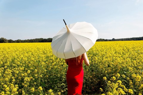 Woman standing in a rape field with a white parasol