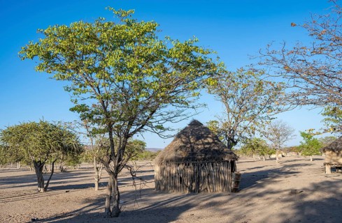 Mud house in a Hakaona village near Opuwo, Kunene, Namibia, Africa
