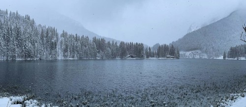 Snowfall at Spitzingsee, Bavaria, Germany, Europe