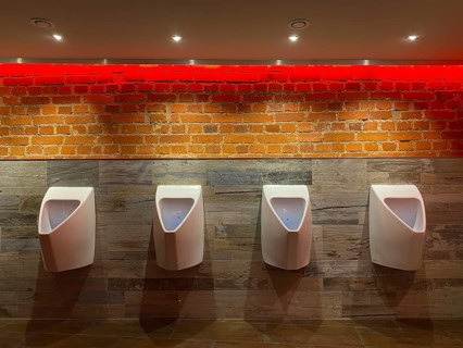 Urinal, Toilet, Leipzig, Saxony, Germany, Europe