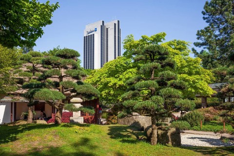 Japanese garden in the Planten un Blomen park with Radisson Blu Hotel and teahouse in spring,
