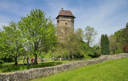 Sponeck Castle, Jechtingen, Sasbach am Kaiserstuhl, Baden-Wuerttemberg, Germany, Europe