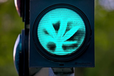 Green traffic light with a hemp leaf, legalisation, cannabis law, symbolic photo, Dortmund, Ruhr