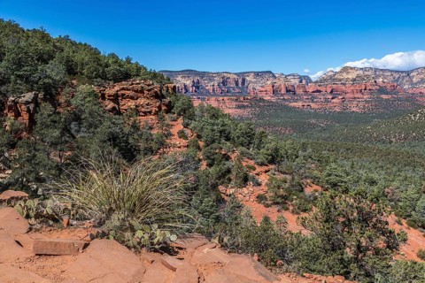 Red rock sandstone formations seen along the Devil's Bridge Trail in Sedona, Arizona, USA, North