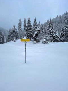 Snowfall at Spitzingsattel, hiking signpost, Bavaria, Germany, Europe
